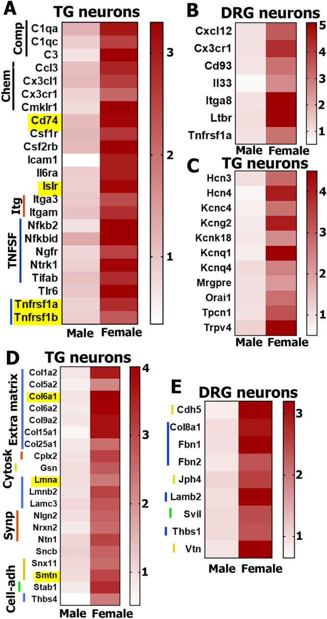 Figure 5