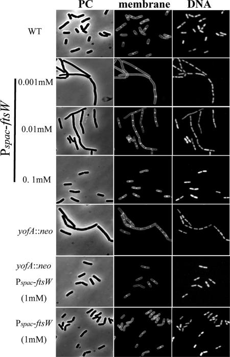 FIG. 7.