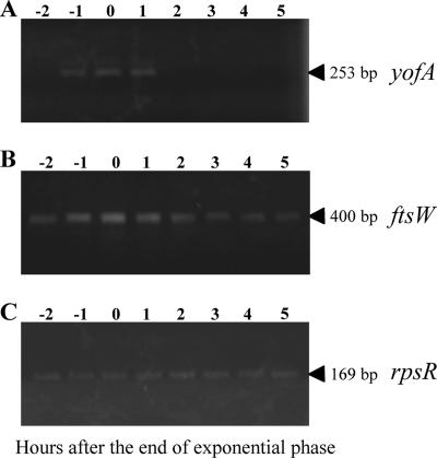 FIG. 8.