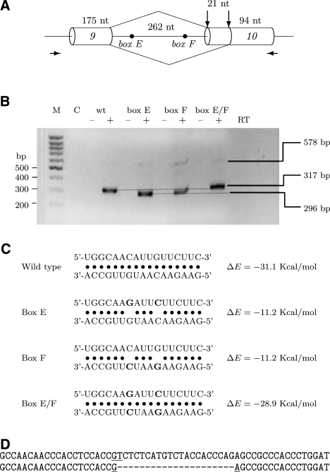 FIGURE 5.