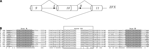 FIGURE 7.