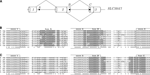 FIGURE 6.