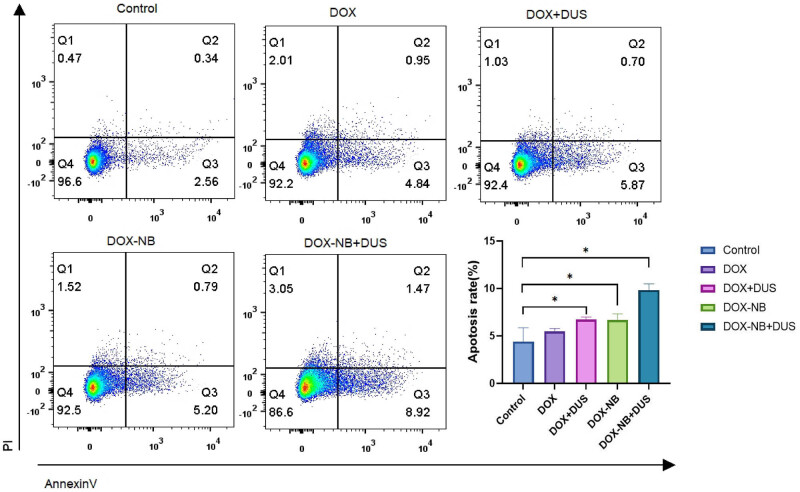 Figure 6