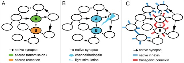 Figure 1.