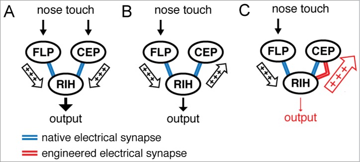 Figure 2.