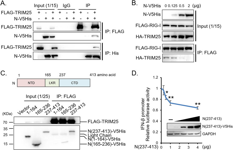 FIG 6