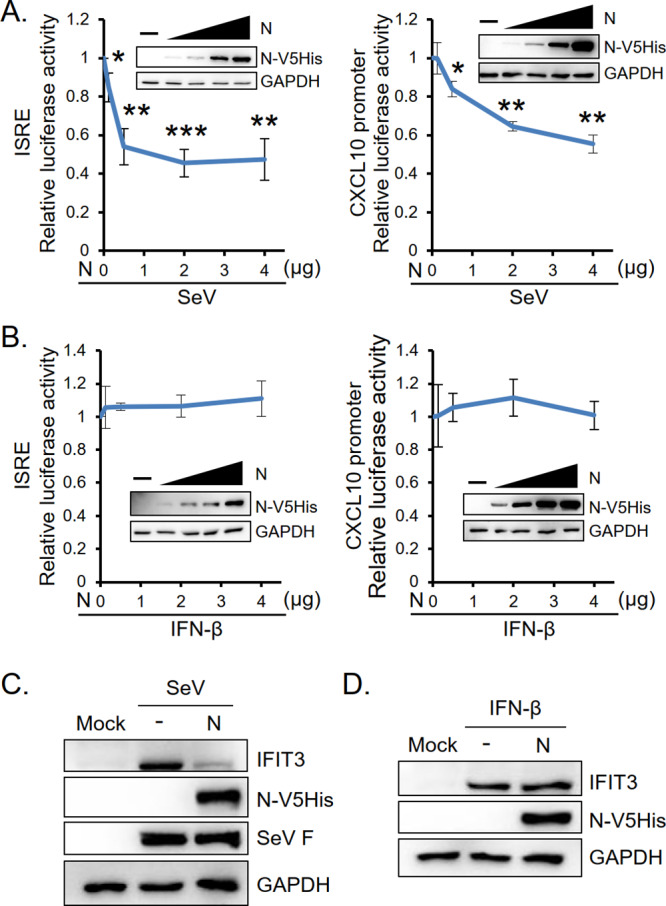 FIG 2