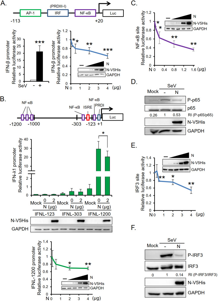 FIG 3