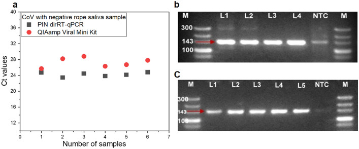 Fig. 9