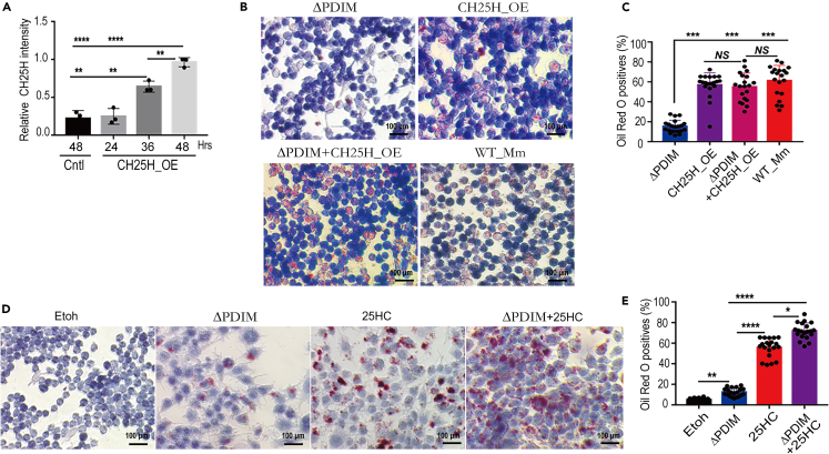 Figure 4