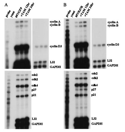 FIG. 8