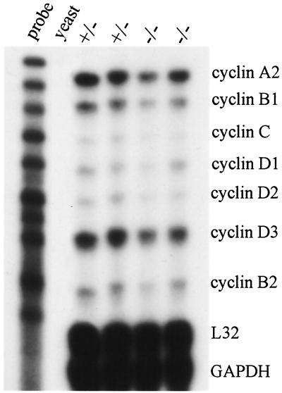 FIG. 6