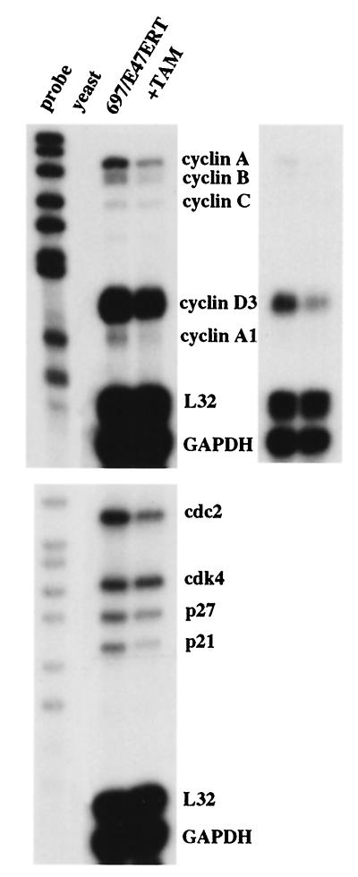 FIG. 5