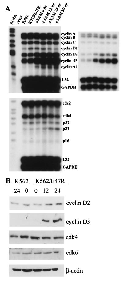 FIG. 9