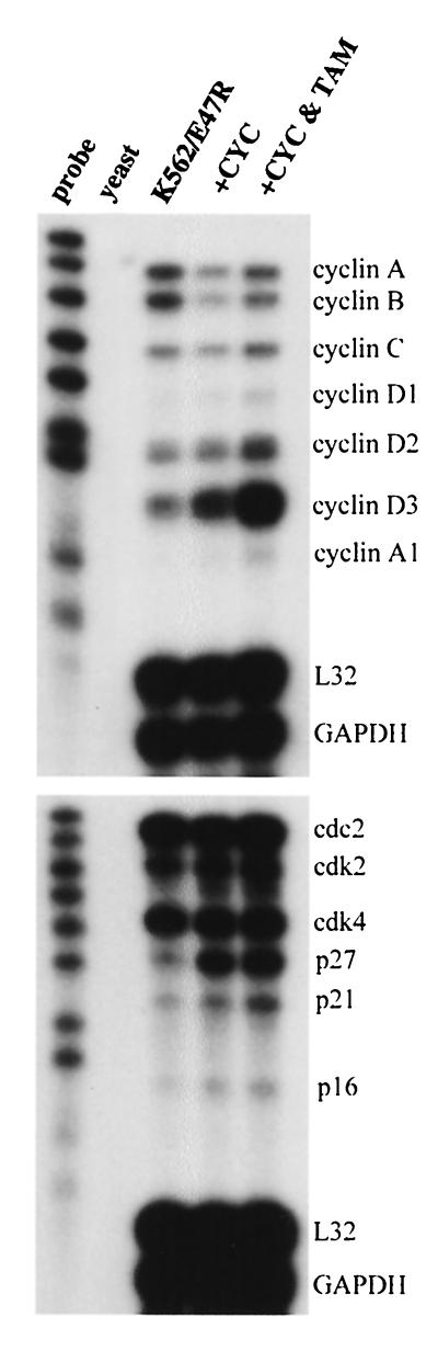 FIG. 10