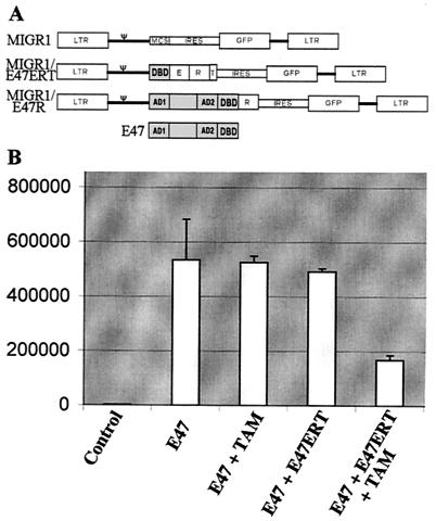 FIG. 1