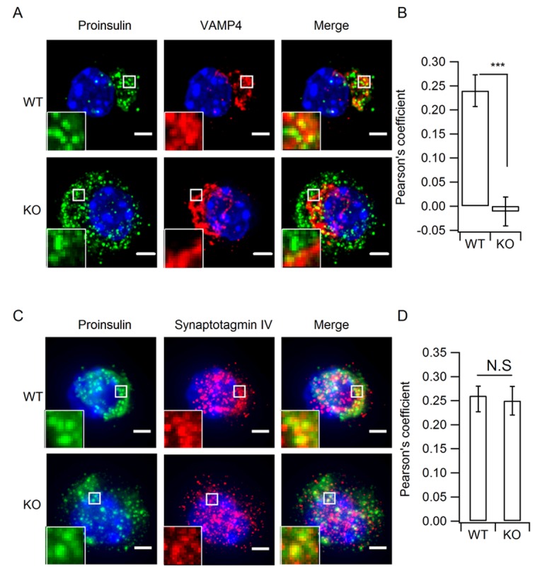 Figure 4—figure supplement 1.