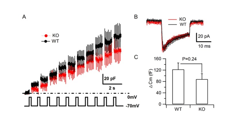 Figure 1—figure supplement 3.