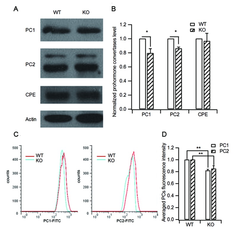 Figure 3—figure supplement 2.