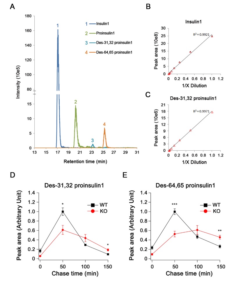 Figure 3—figure supplement 1.