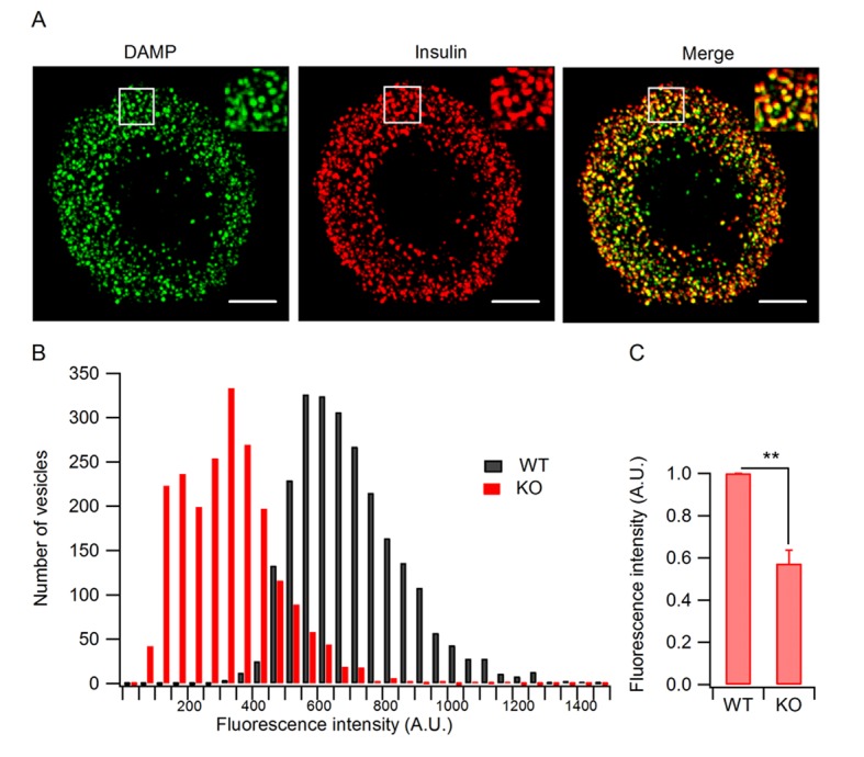 Figure 6.