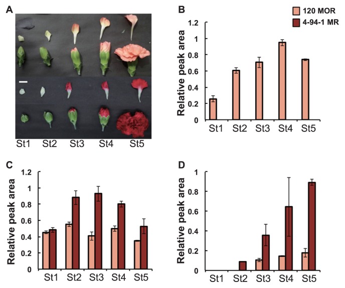 Fig. 2