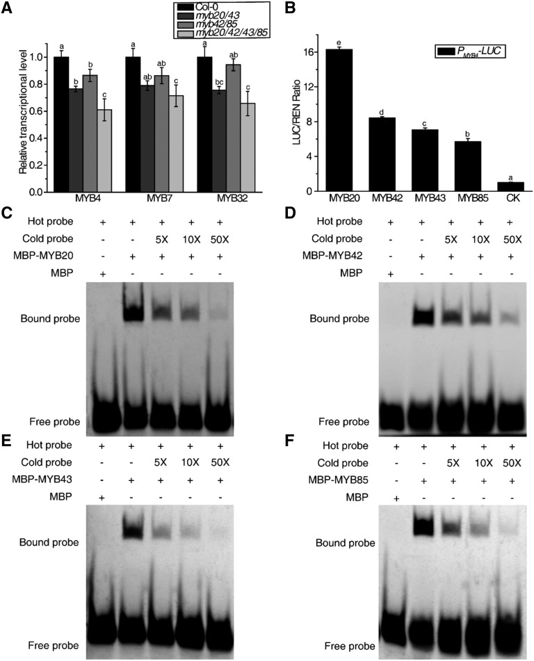 Figure 6.