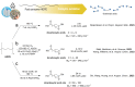 Figure 22