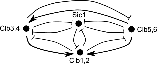 Figure 2.