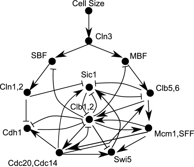 Figure 1.