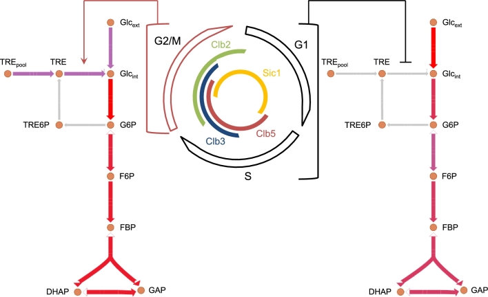 Figure 3.