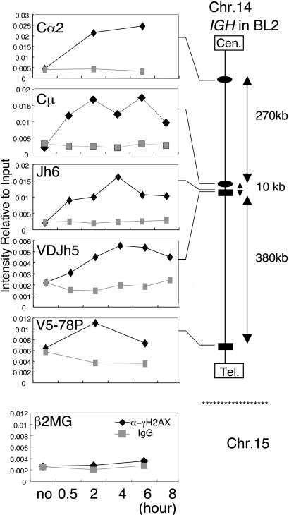 Fig. 3.