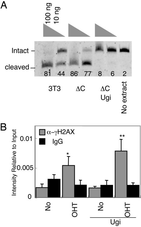 Fig. 6.