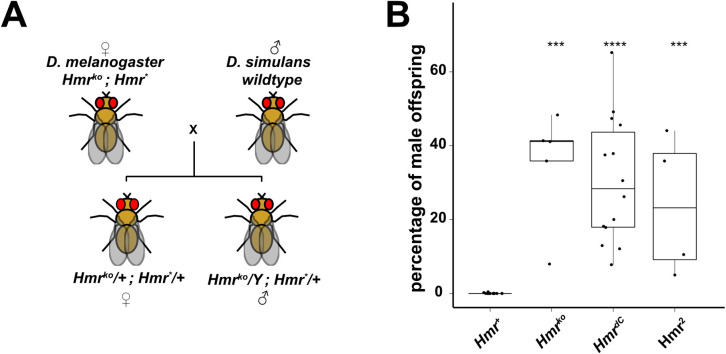 Fig 7