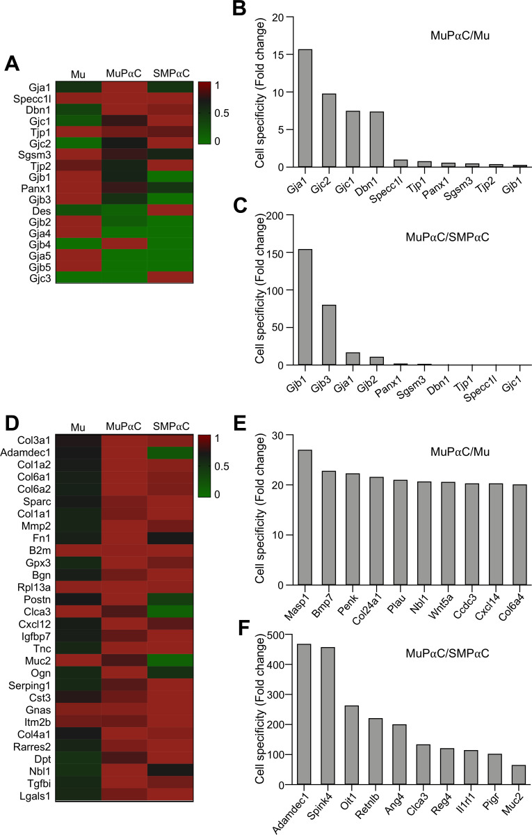 Fig 6