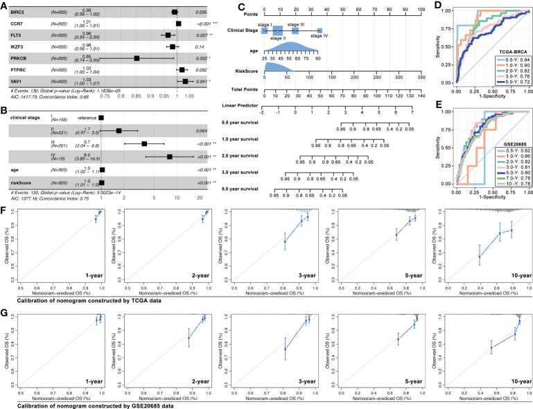 Figure 13