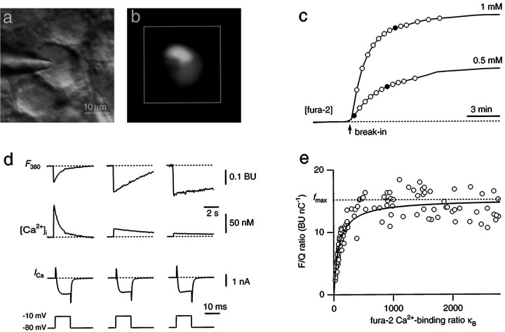 Fig. 1.