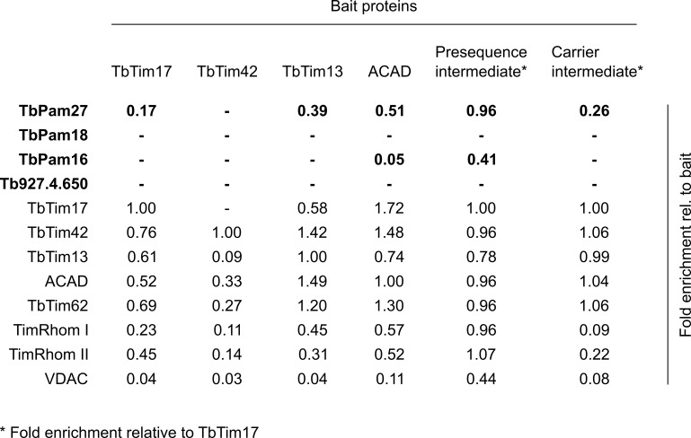 Figure 3—figure supplement 1.