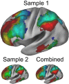 Figure 2—figure supplement 1.
