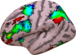 Figure 2—figure supplement 2.