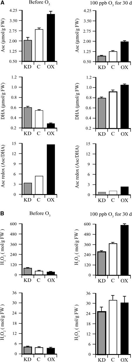 Figure 10.