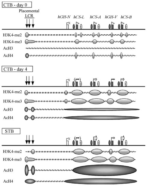 Fig 5