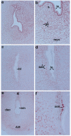 FIG. 6