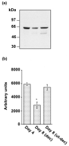 FIG. 7