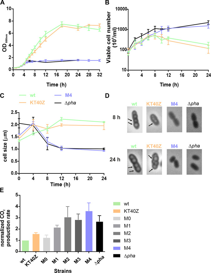 FIG 3
