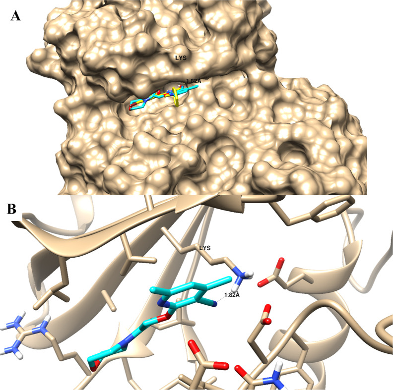 Figure 7