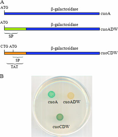 FIG. 4.