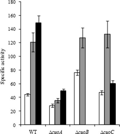 FIG. 10.