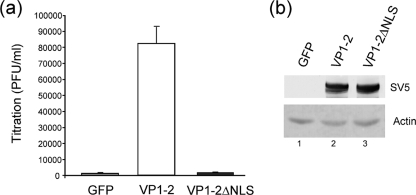 FIG. 6.