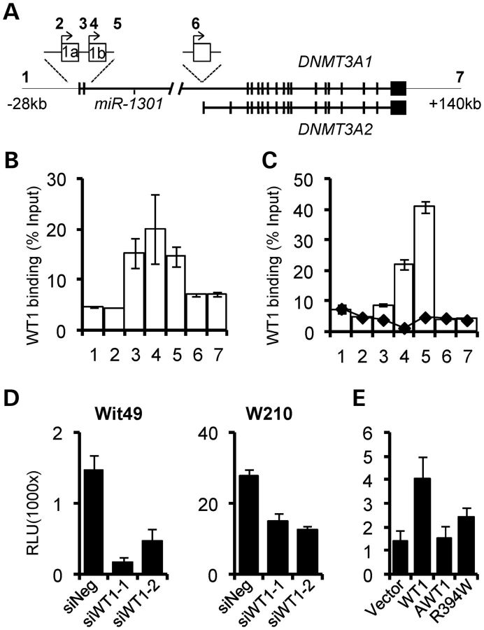 Figure 3.